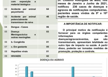 NOTIFICAÇÕES COMPULSÓRIAS REALIZADAS NO HOSPITAL REGIONAL DR. CLODOLFO RODRIGUES DE MELO – JANEIRO A JUNHO 2021