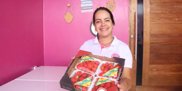 Conheça os Morangos da Sam em Santana do Ipanema – AL