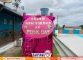 2º Pink Day